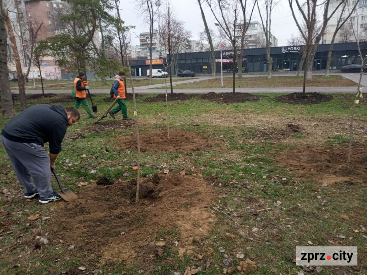 У запорізькому парку висадили більше ста лип і кленів - є унікальний сорт (фото)