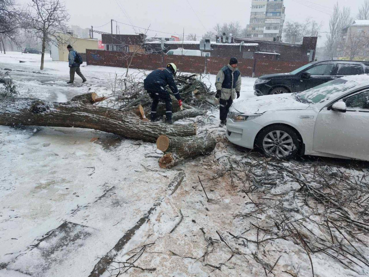 Падали на дороги й тротуари - у Запоріжжі сильний вітер повалив понад пів сотні дерев (фото)