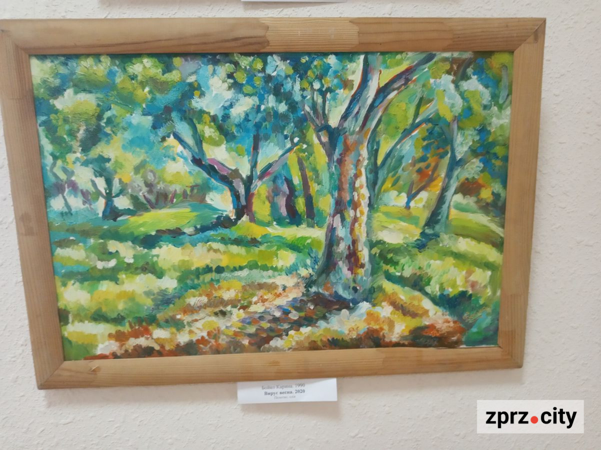 Запорізький музей тимчасово надав "дах" художникам з вернісажу у фонтана - фото