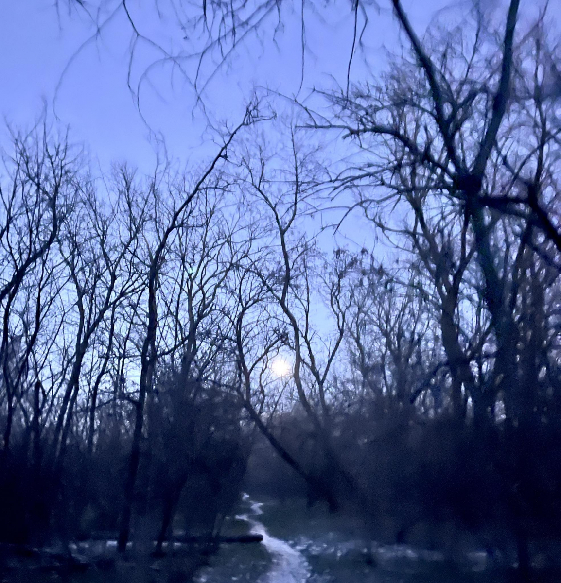 Неймовірно гарно - запоріжці поділились в соцмережах фото повні Сніжного місяця