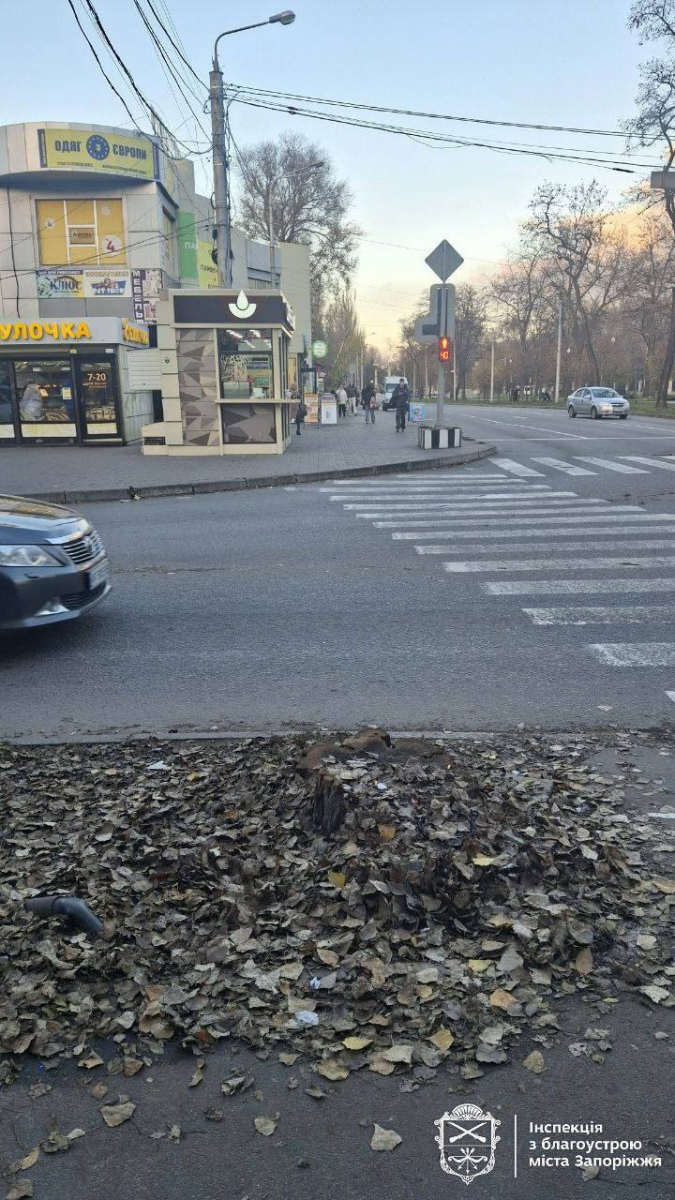 У двох районах Запоріжжя прибрали незаконний гараж і російськомовні вивіски (фото)