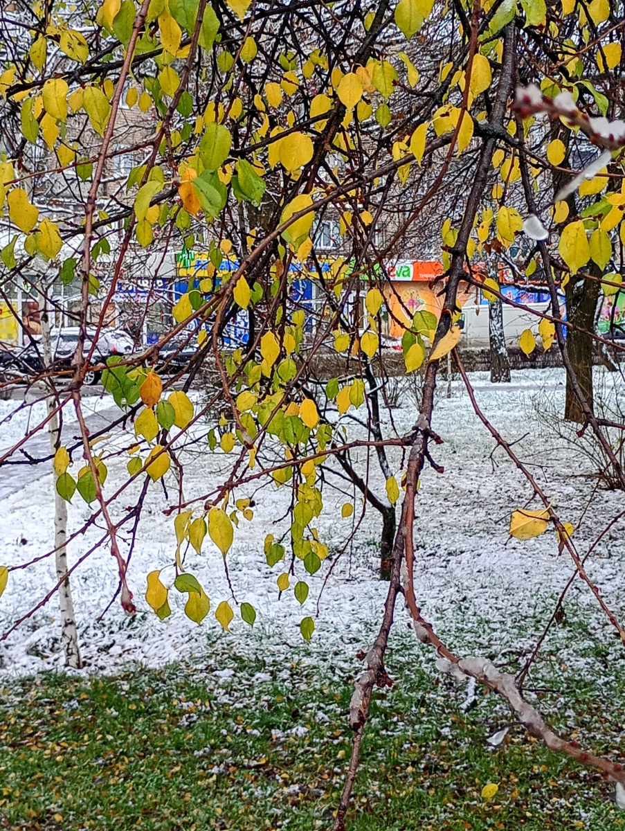 У Запоріжжі почали боротьбу зі снігом - фото перших зимових опадів