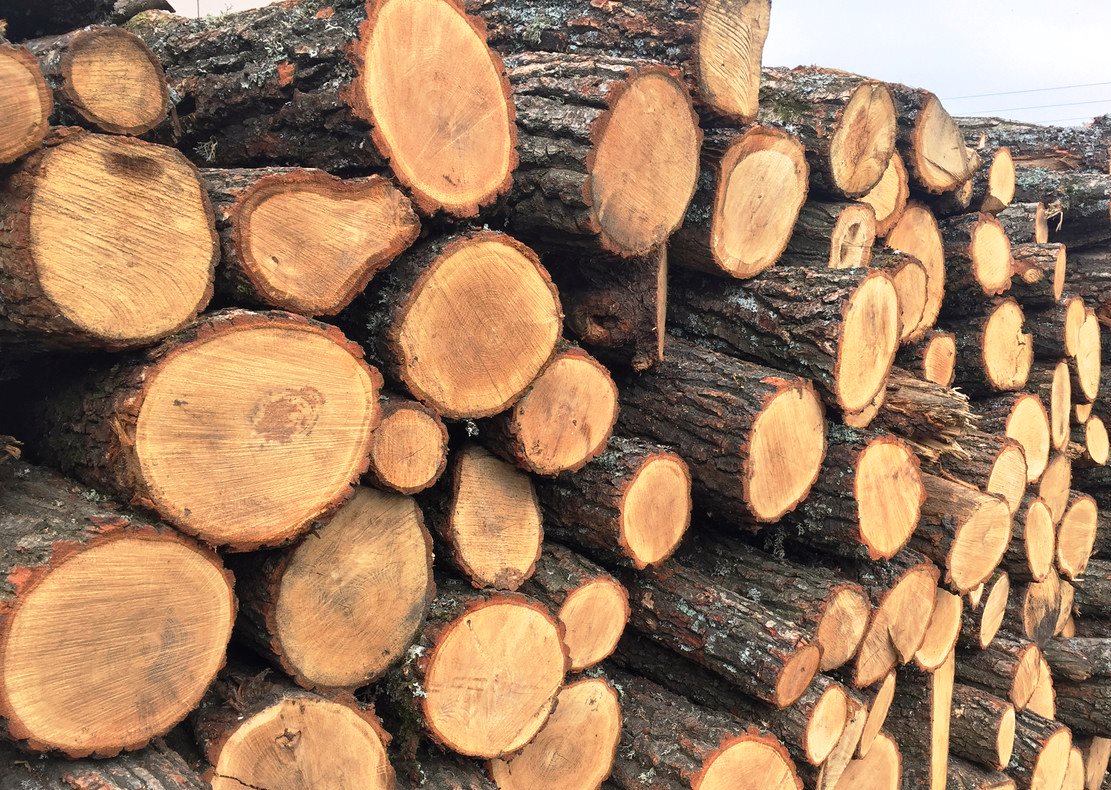Виплати на отримання дров: що потрібно зробити запоріжцям – важлива інформація від Пенсійного фонду
