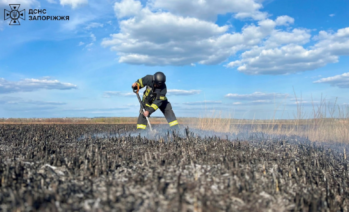 Палав очерет – рятувальники загасили пожежу у Запоріжжі
