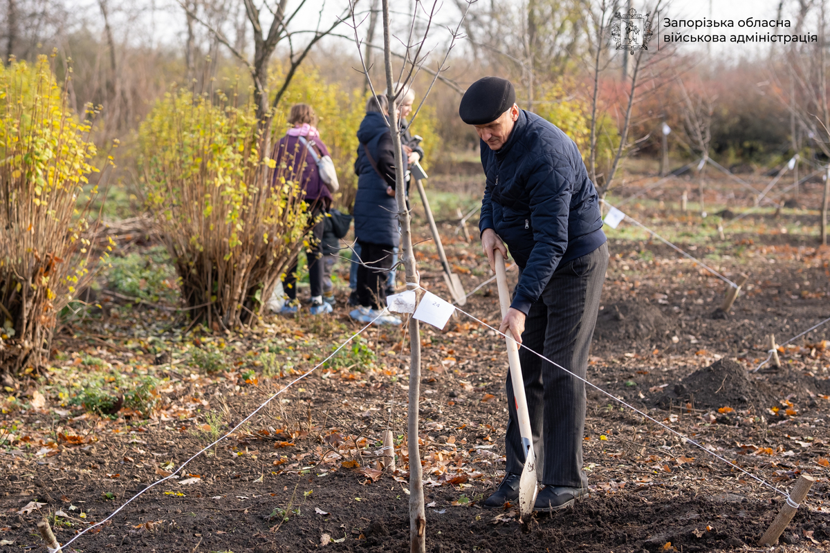 У Запоріжжі на Хортиці вшанували полеглих Героїв — у "Парку Честі" висадили сотні молодих дерев пам’яті (фото, відео)
