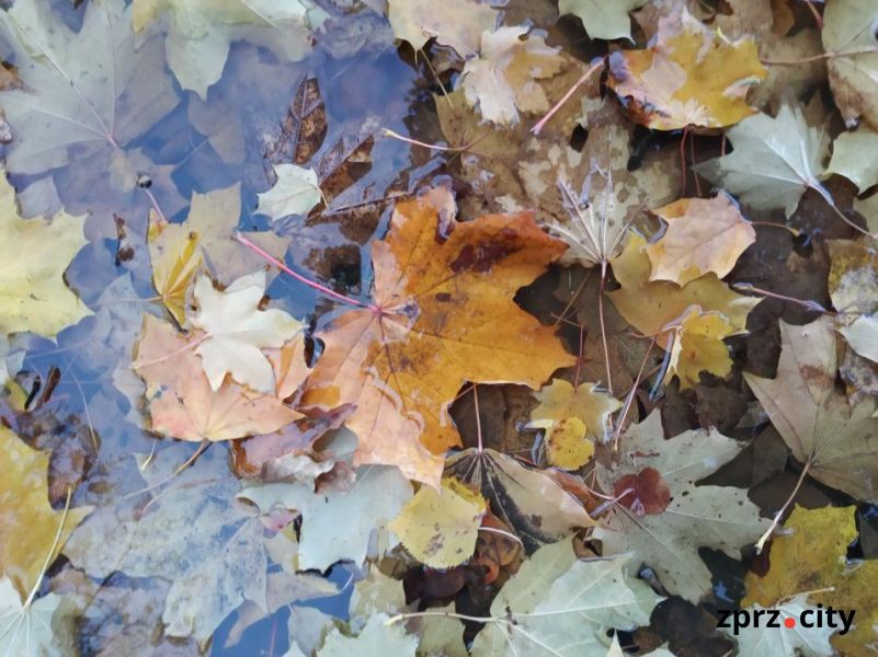 Як виглядає восени один із запорізьких парків - фото