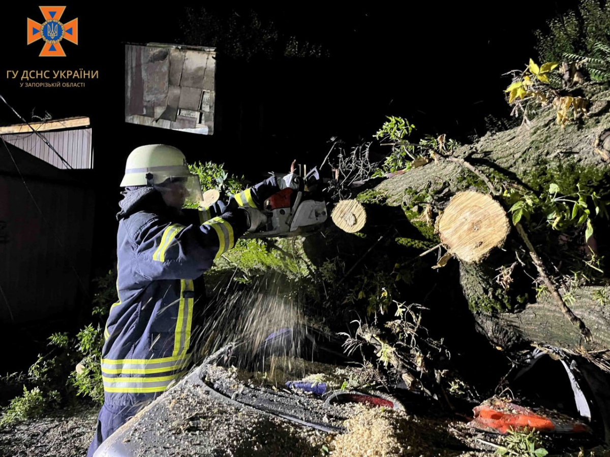 Повалені дерева та розбиті авто: які наслідки негоди у Запоріжжі (фото)