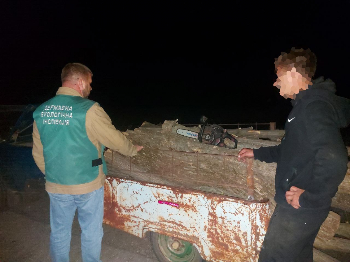 Рубав дерева серед ночі – у Запорізькому районі викрили браконьєра в лісосмузі (фото)