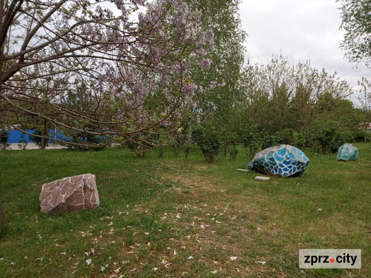 Весняна краса запорізького парку - в одному з районів міста цвітуть заборонені рослини