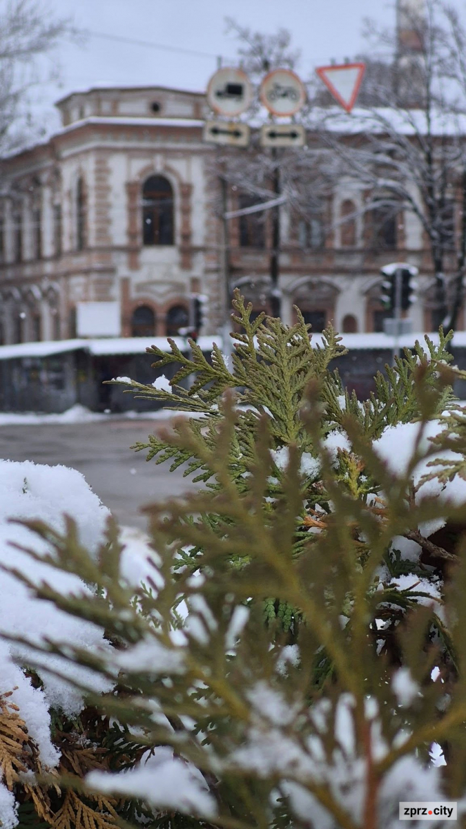 Архітектурна пам’ятка XIX століття - у Запоріжжі зберігся особняк промисловця Бадовського (фото)