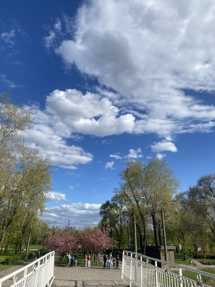 У головному парку Запоріжжя квітне сакура: чим ще можна помилуватись - фото