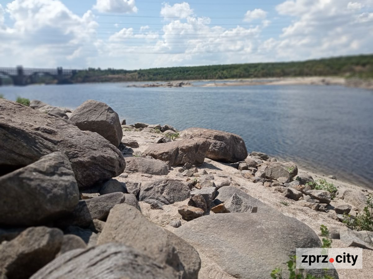 Дивовижні знахідки у Запоріжжі в урочищі Сагайдачного - як виглядає узбережжя Дніпра після падіння рівня води