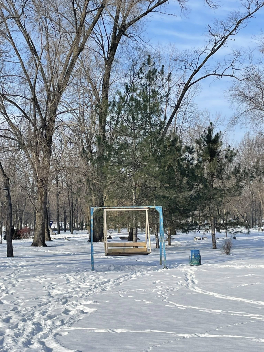 Як виглядає улюблений парк запоріжців взимку - фото