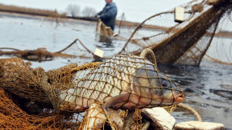 Рибалили на річці Малий Кушугум – у Запорізькій області спіймали двох браконьєрів