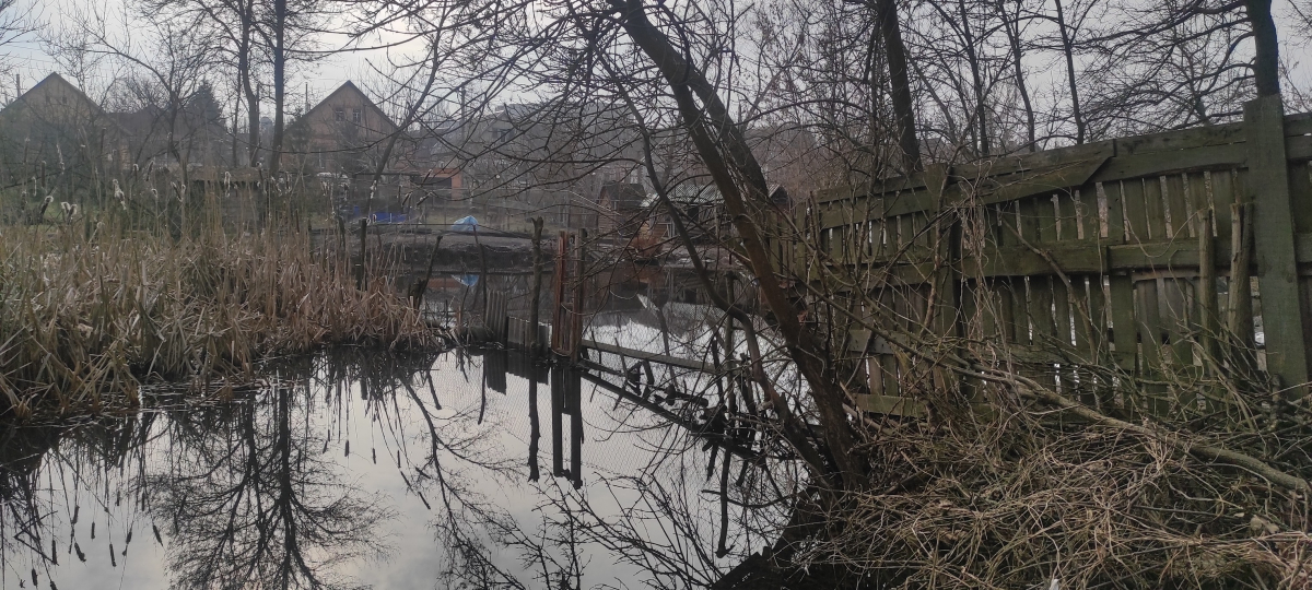 Узбережжя річки в Запоріжжі перекрили парканами та завезли туди свійську птицю - на місце виїхали екологи