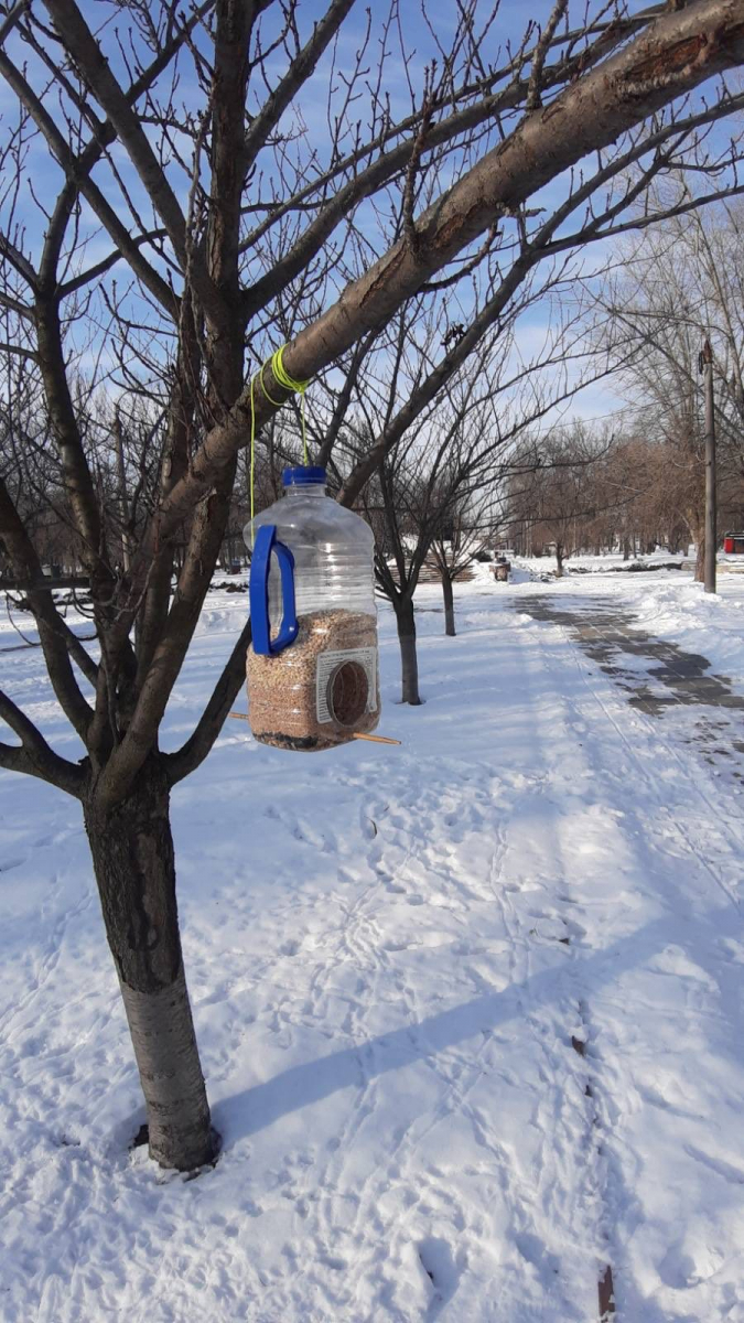 Як виглядає улюблений парк запоріжців взимку - фото