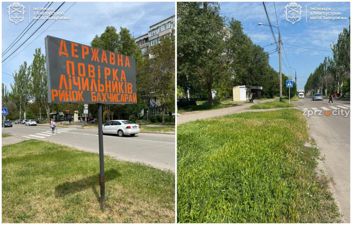 У Запоріжжі зняли вивіски з порушеннями в Хортицькому районі (фото)