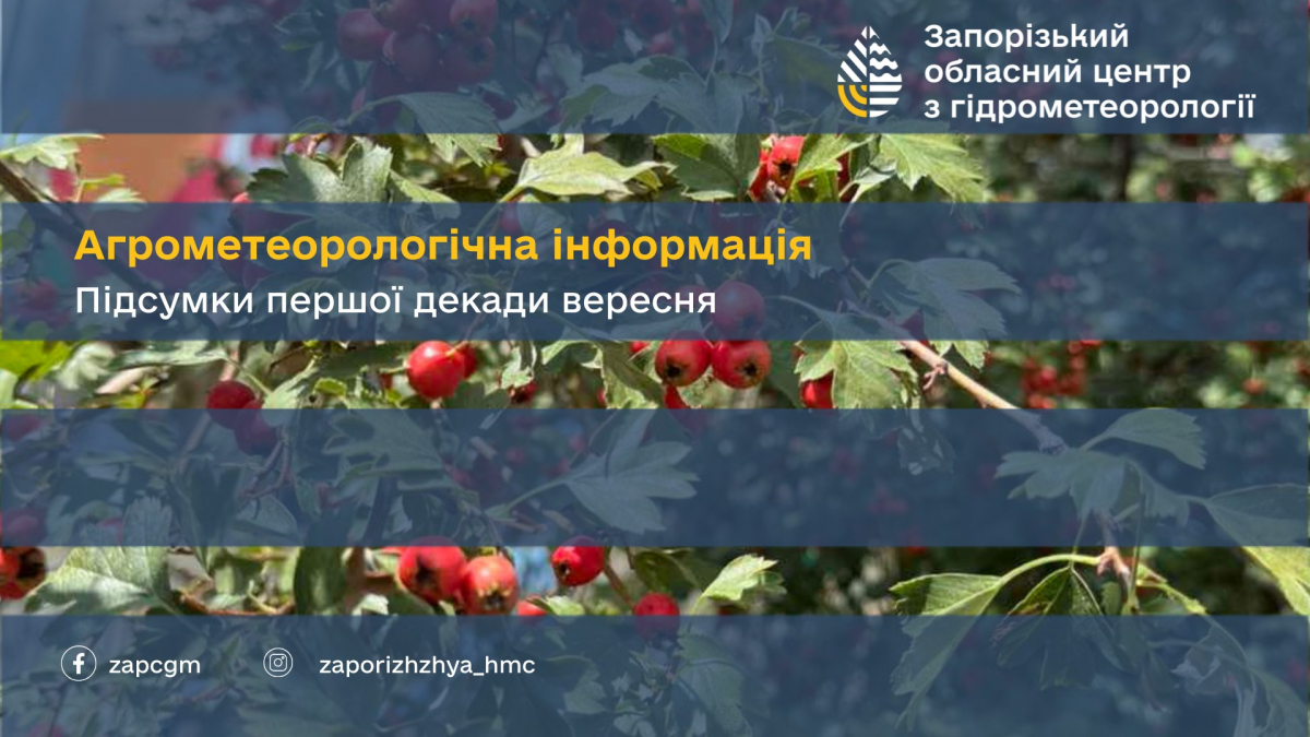 Спека і сухість загрожують посівній - аграрії Запорізького району б’ються з ґрунтовою засухою