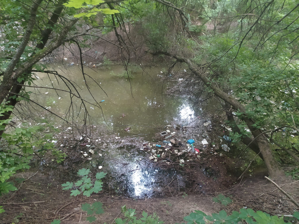 У спальному районі Запоріжжя утворилося болото, в якому плаває сміття - фото, відео