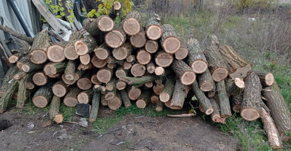 У Запорізькій області чоловік незаконно вирубував дерева в лісосмузі