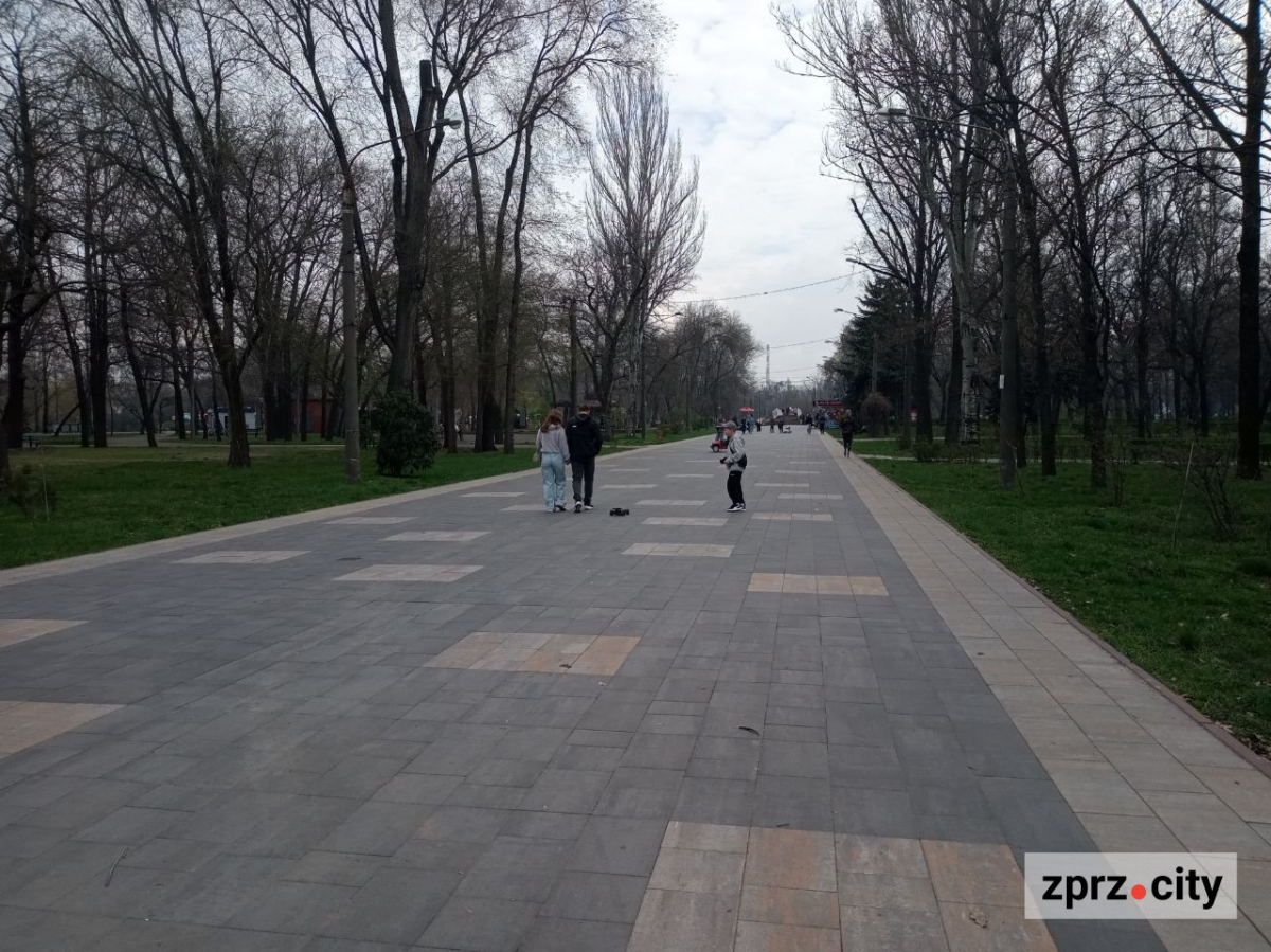 Сезон магнолій і лебеді: у вихідні в запорізькому парку був аншлаг - фото