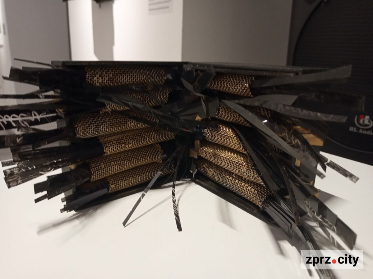 У Запоріжжі показали книгу, вирощену з гриба, та інші незвичайні артбуки - фото