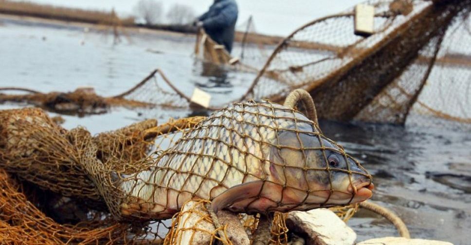 У Запорізькій області затримали браконьєрів, які ловили рибу сітками - фото