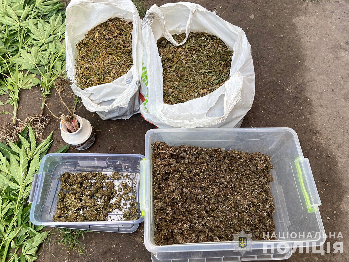 Наркотики на мільйон - у Запоріжжі затримали банду ділків