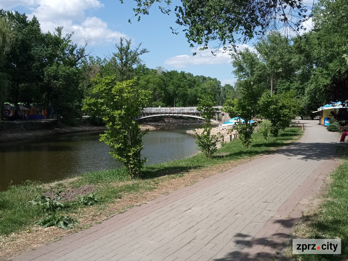 Вісім років на доведення невинуватості - у Запоріжжі суд виправдав колишню керівницю "Дубового гаю"