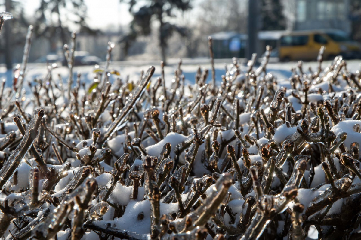 Трохи снігу та морозу - якою буде погода в Запоріжжі найближчими днями