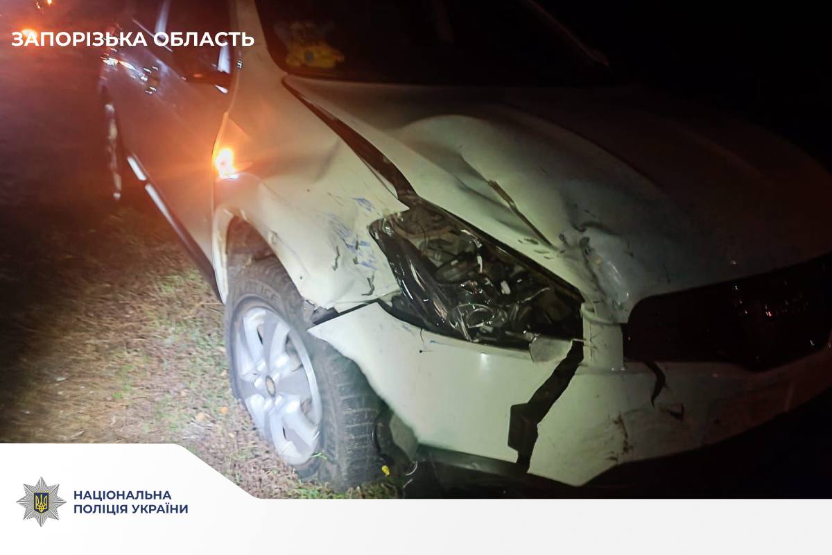 На Запоріжжі в аварії постраждав 17-річний мотоцикліст - хлопця госпіталізували до реанімації (фото)