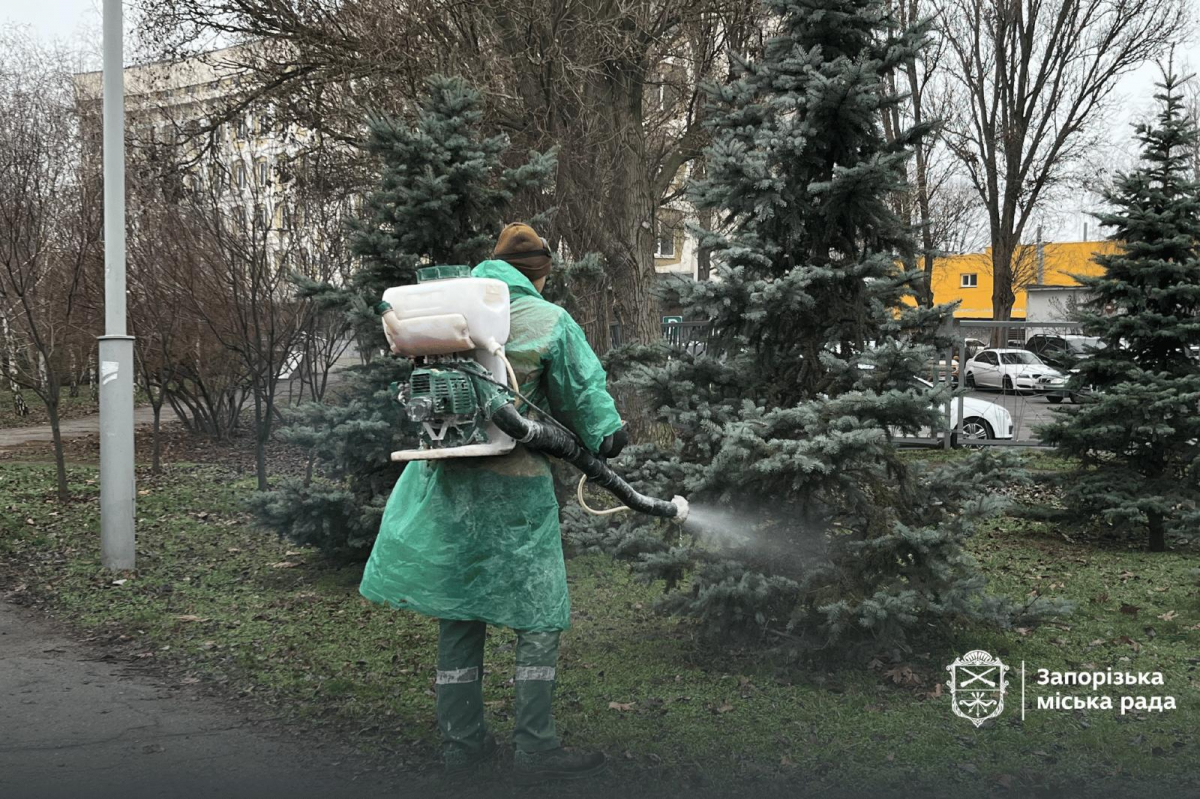 Незручність для вандалів - як на вулицях і в парках Запоріжжя обробляють ялинки