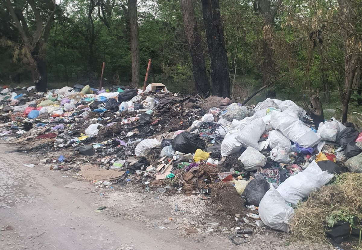 Вздовж автодороги в Запорізькій області утворилося велике сміттєзвалище (фото)