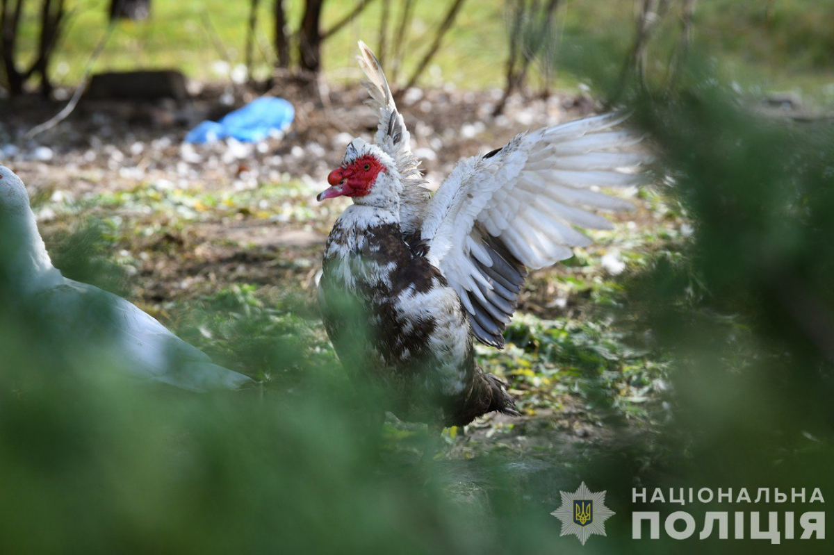 Людям оговтатись не дають: ворог обстрілює КАБами місто в Запорізькій області, в якому немає вцілілих будівель (відео) 