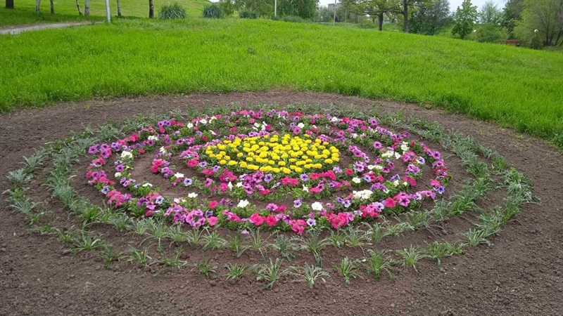 У парках Запоріжжя висадили квіти - фото