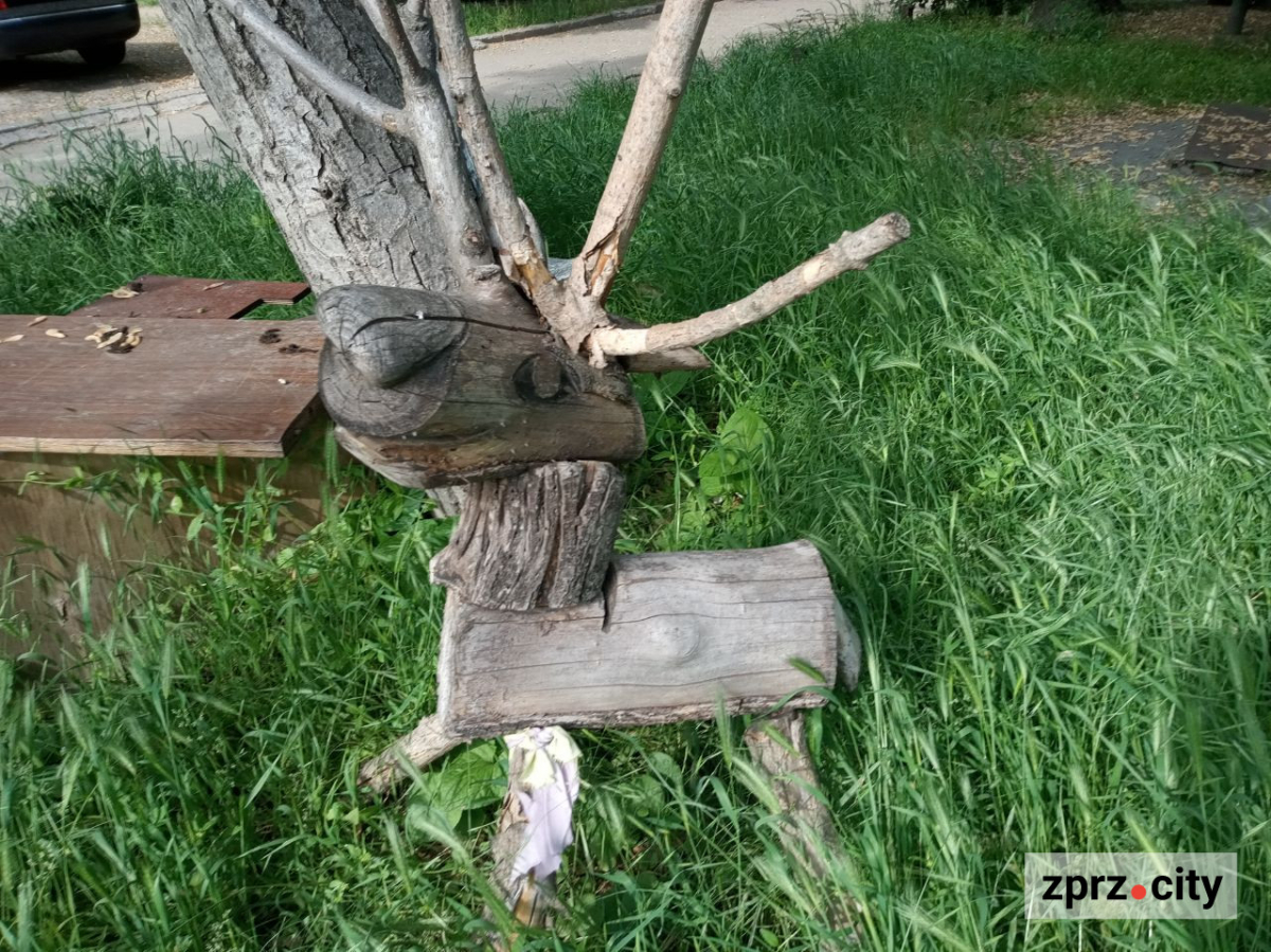 Вуличний арт, Запоріжжя