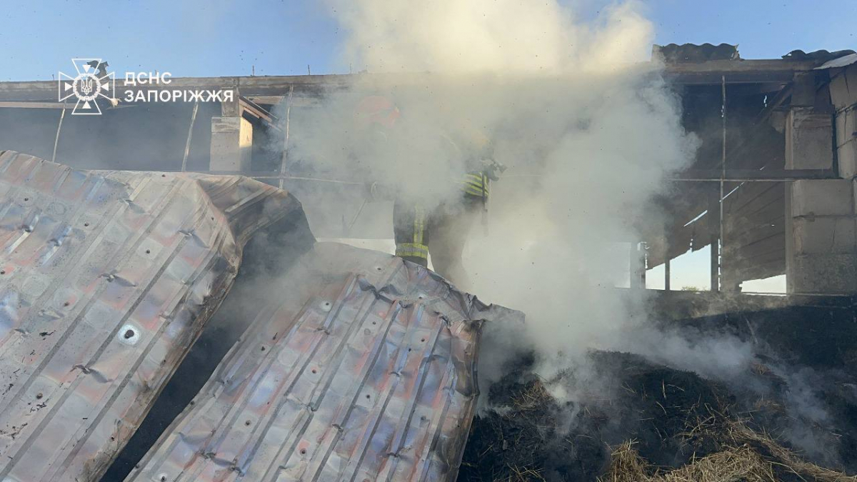 Після пожежі в Розумівці - власники кінного клубу збирають кошти на відновлення та корм для тварин