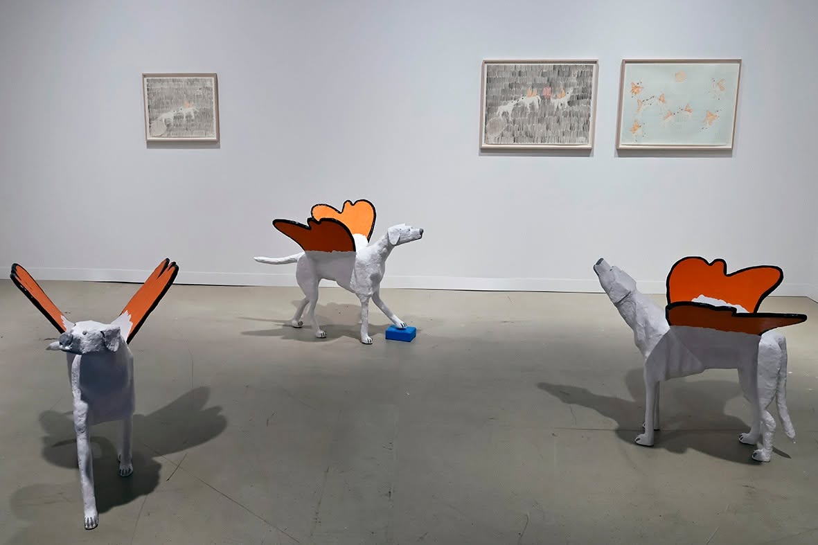 Art Basel, фото Євгена Кома