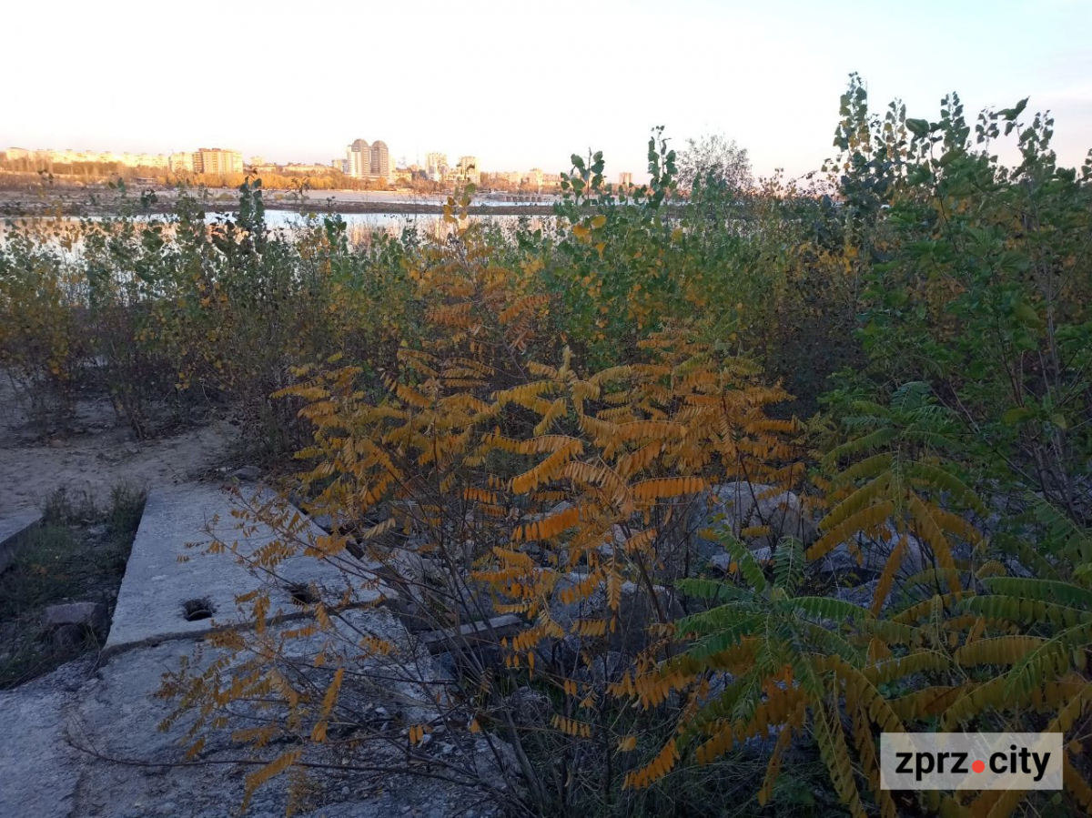 Як виглядало узбережжя Хортиці в останній день жовтня: ексклюзивний фоторепортаж