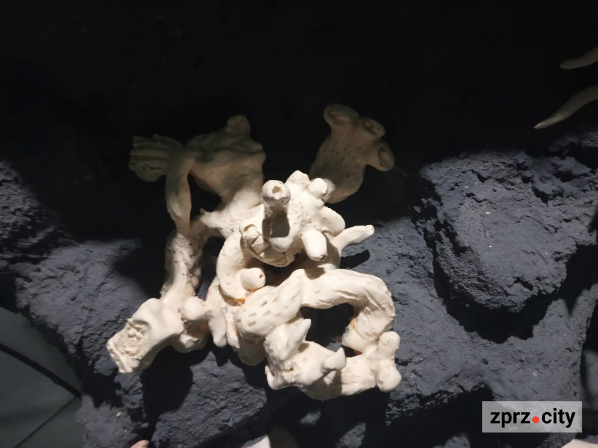 Запорізький центр сучасного мистецтва пропонує зануритись у чужі спогади (фото)