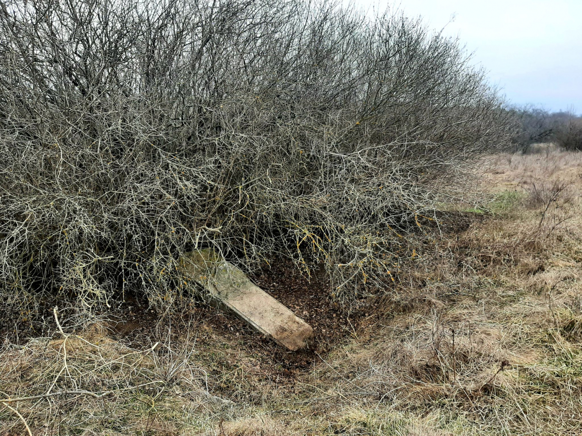 Лежала в посадці біля кургану: у Запорізькому районі знайшли стелу віком понад шість тисяч років (фото)