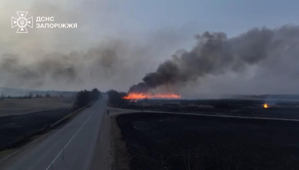 Понад десять пожеж за добу - у Запорізькій області горіли поля (фото)