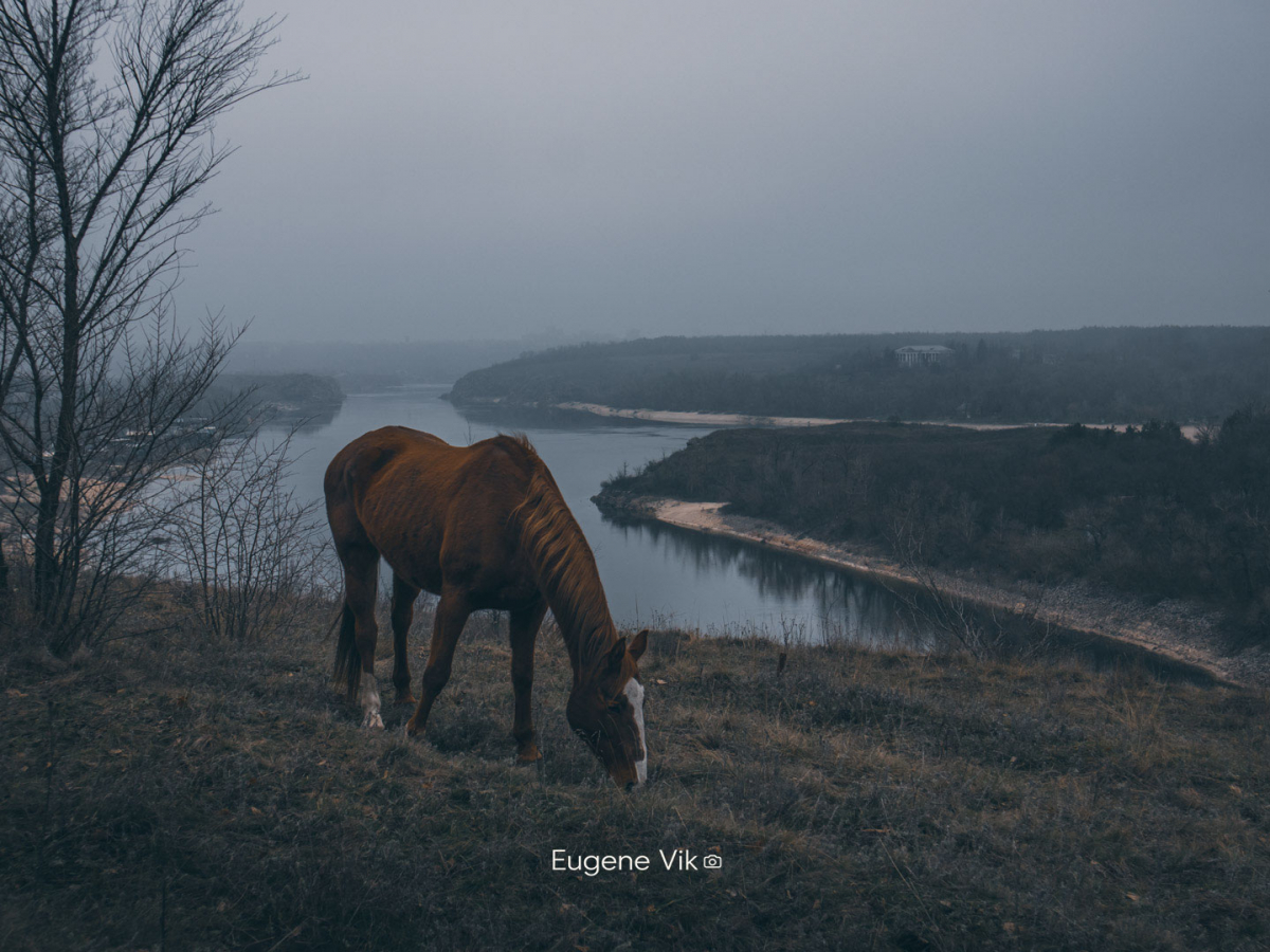 Сухо та похмуро: якою буде погода в Запоріжжі у першій половині робочого тижня — прогноз синоптиків