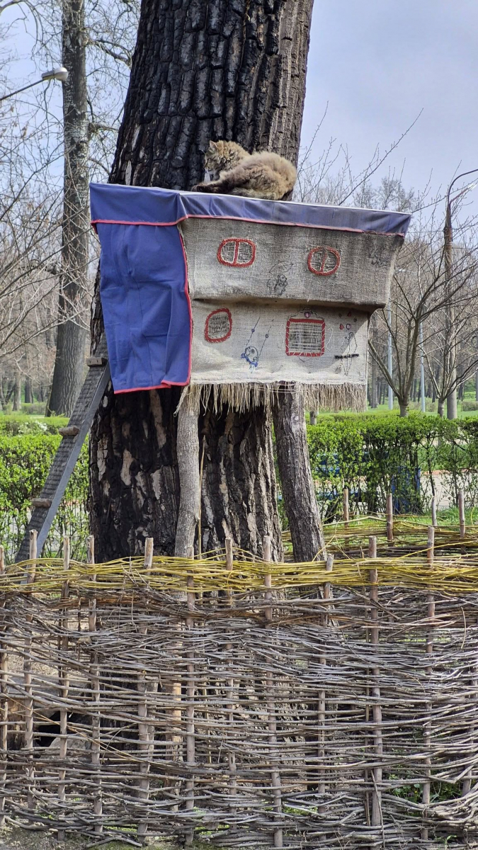 Весна в "Дубовці": у запорізькому парку розквітли ніжні білі магнолії (фото)