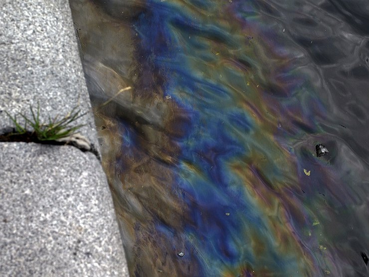 Райдужні плями: у Запоріжжі в Дніпрі виявили забруднення нафтопродуктами - фото