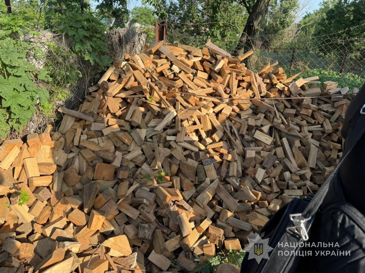 У Запорізькій області викрили «чорних» лісорубів, які завдали екології збитків на понад 830 тисяч гривень