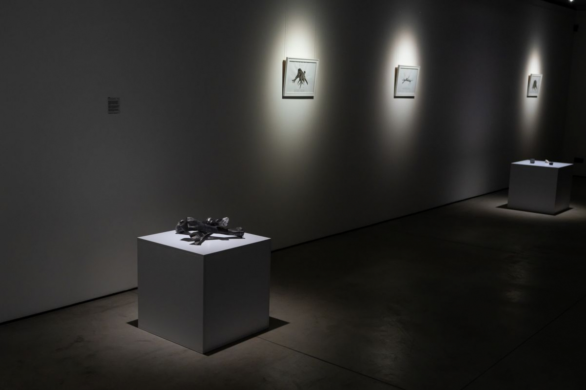 Металеві кістки і сталеві картини - у Запоріжжі відкрили символічну виставку про місто (фото)