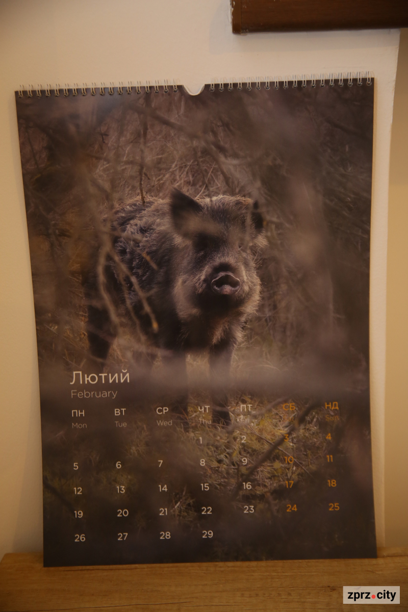 Відомий запорізький фотограф презентував календар на 2024 рік – фото