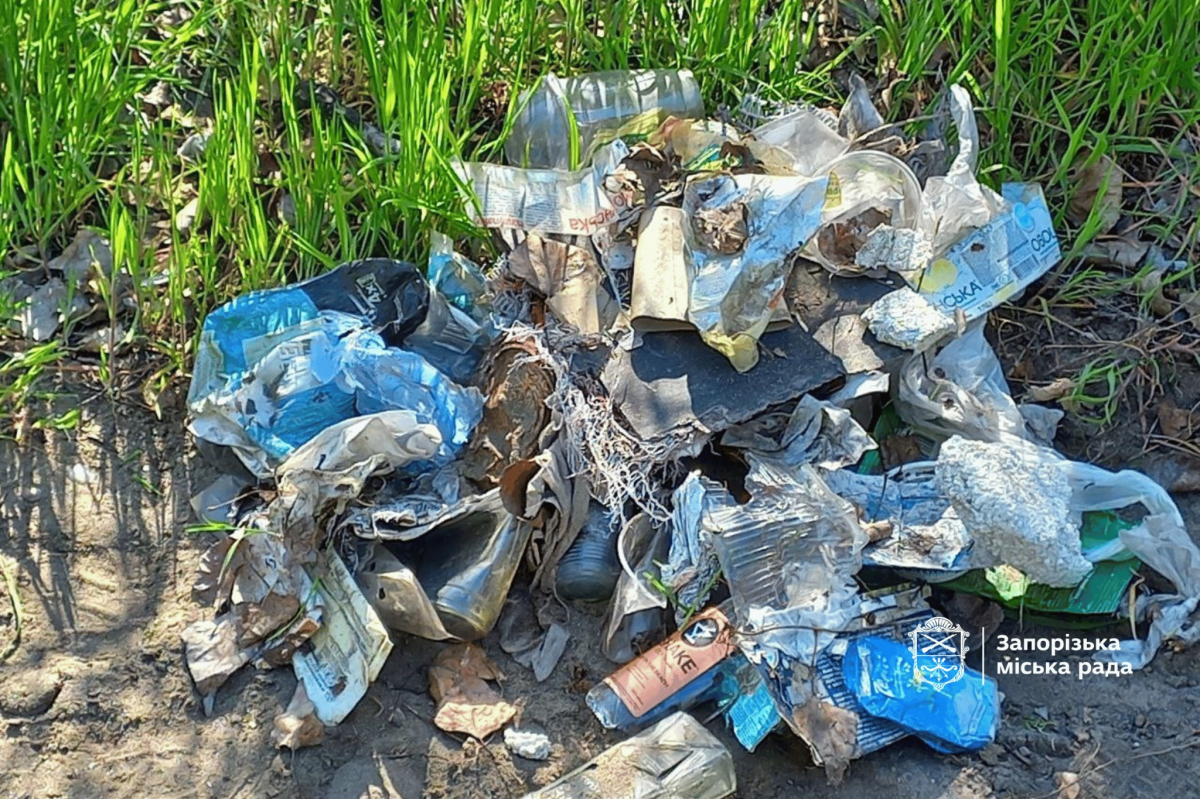 Прибирали гуртом - у Запоріжжі біля ландшафтного парку небайдужі містяни провели толоку (фото)