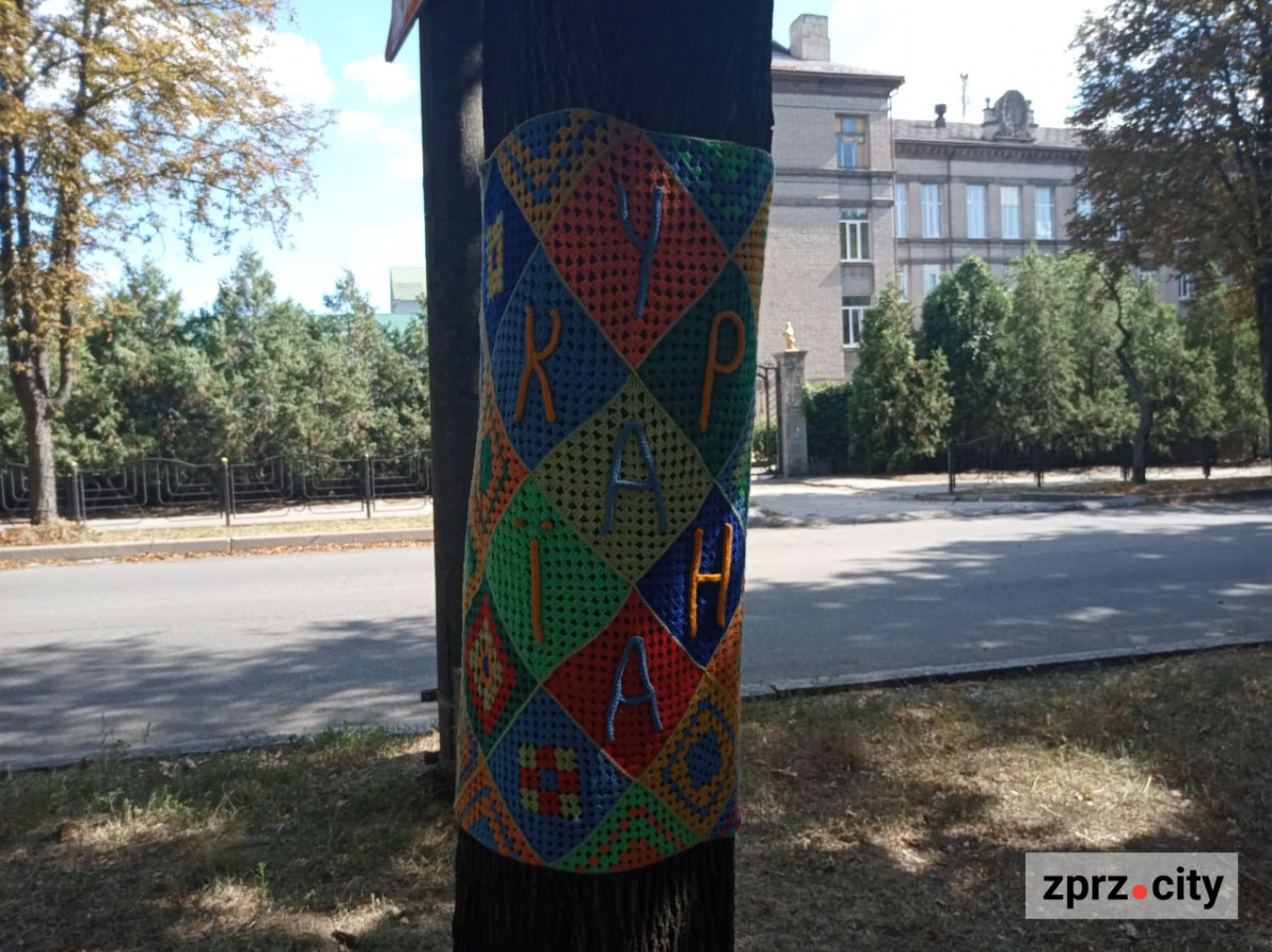 Мухомор бажань, черепаха та дерева у "светрах": де у Запоріжжі побачити незвичайну локацію (фото)